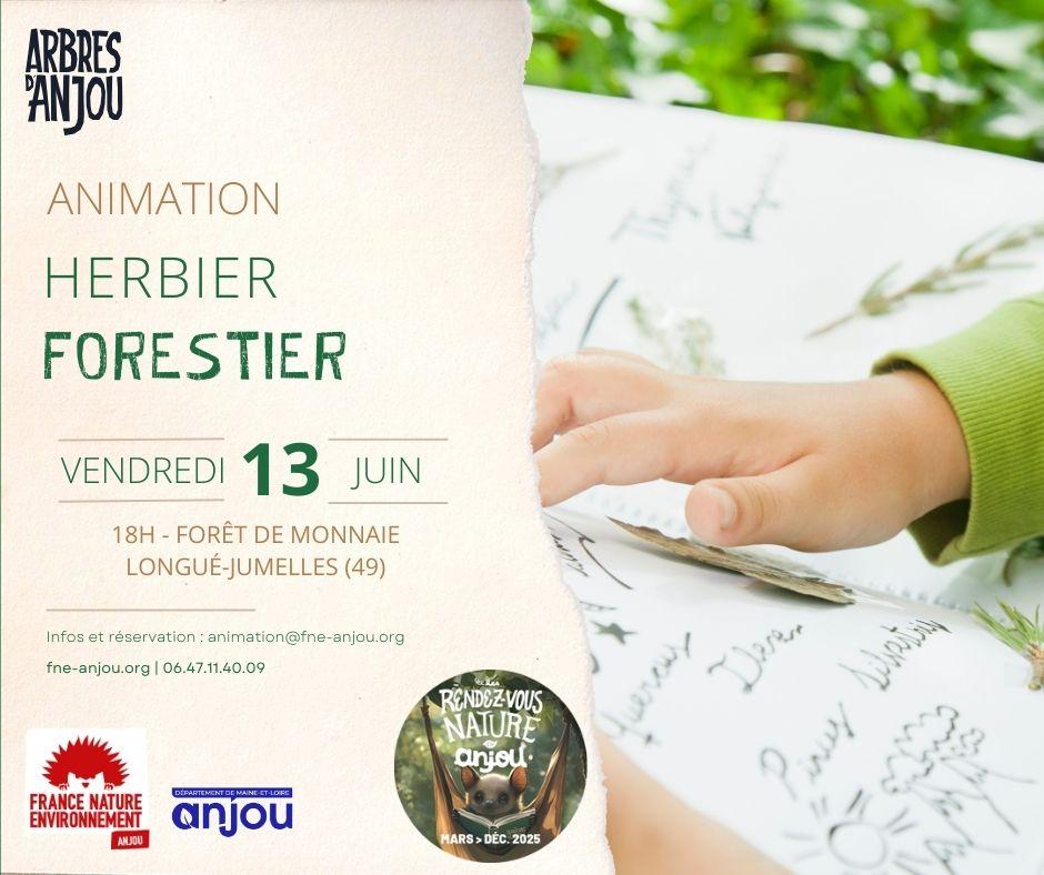 Animation ens herbier forestier 13 06 25